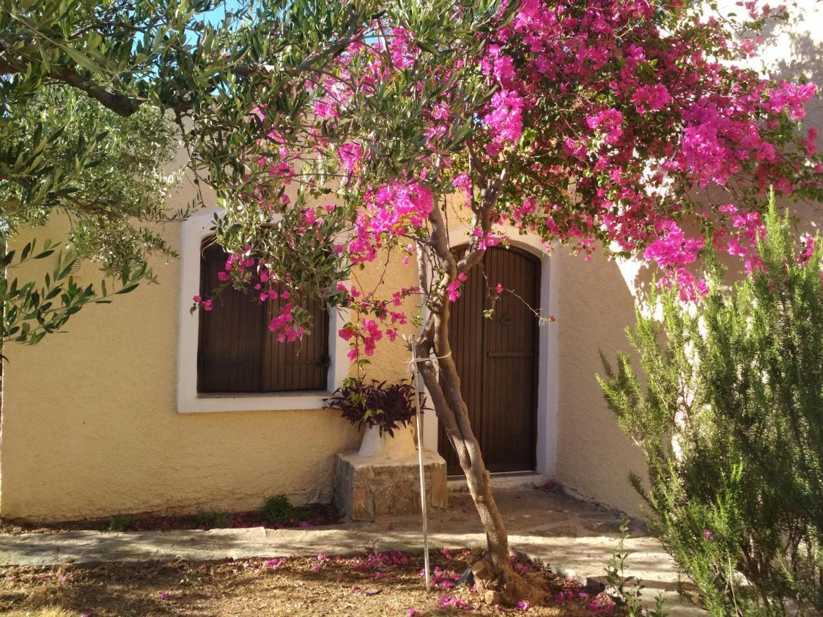 פלקסטרון Porto Heli Apartments מראה חיצוני תמונה