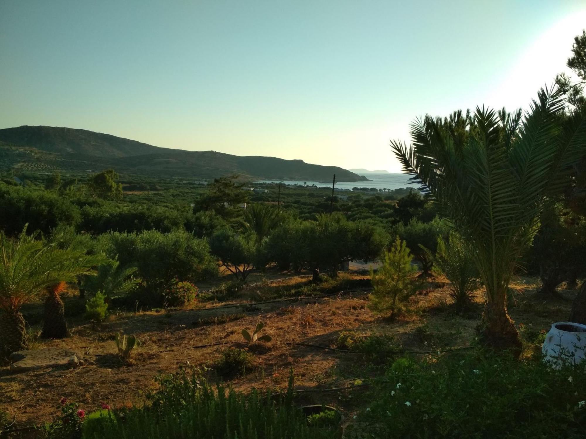 פלקסטרון Porto Heli Apartments מראה חיצוני תמונה