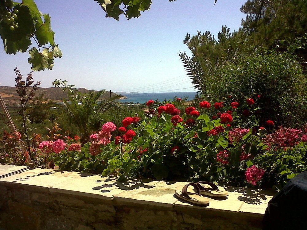 פלקסטרון Porto Heli Apartments מראה חיצוני תמונה