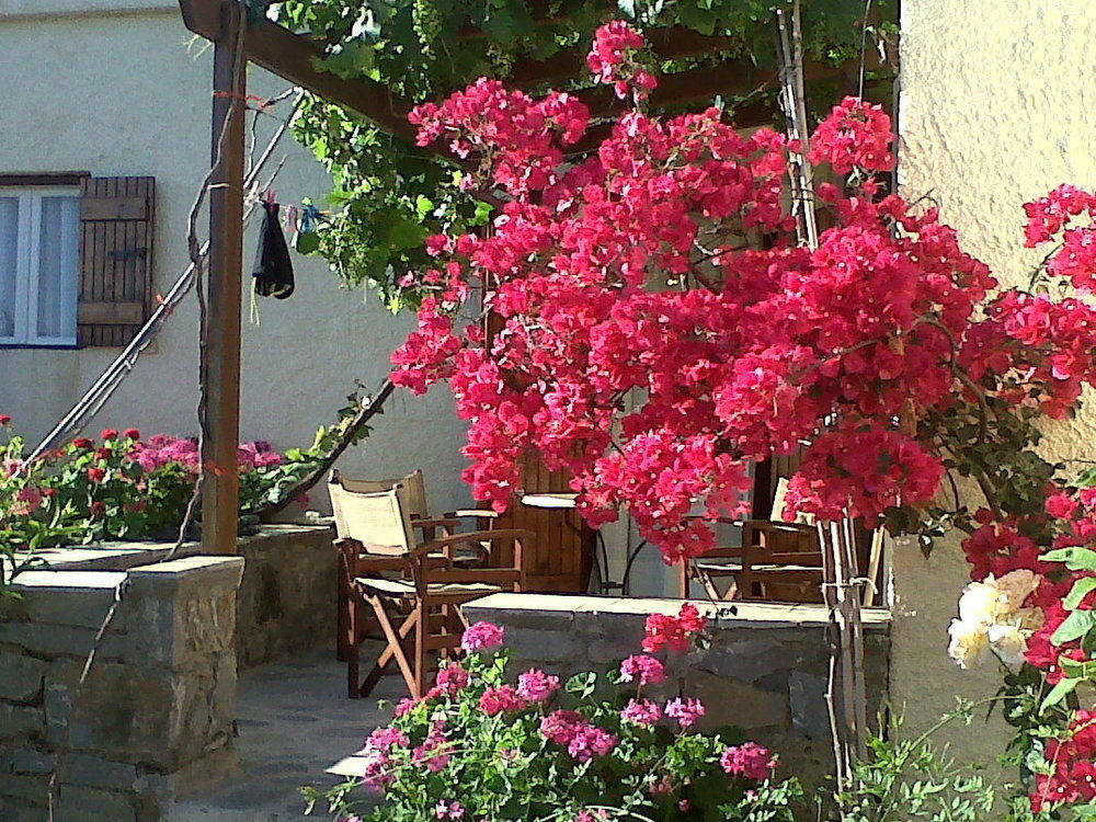 פלקסטרון Porto Heli Apartments מראה חיצוני תמונה